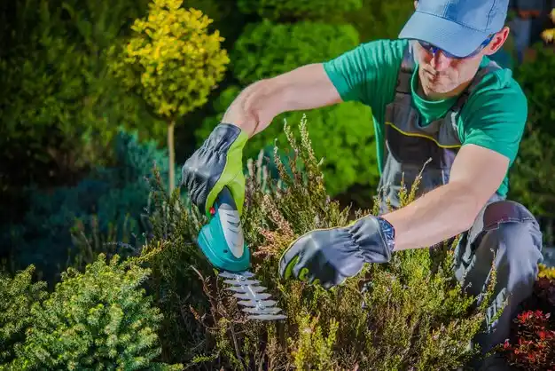 landscaping services Cole Camp